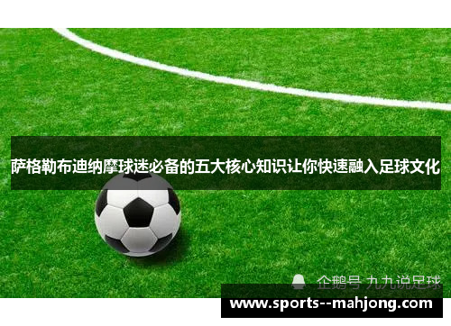 萨格勒布迪纳摩球迷必备的五大核心知识让你快速融入足球文化