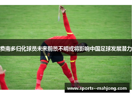 费南多归化球员未来前景不明或将影响中国足球发展潜力 费南多归化球员未来前景不明或将影响中国足球发展潜力