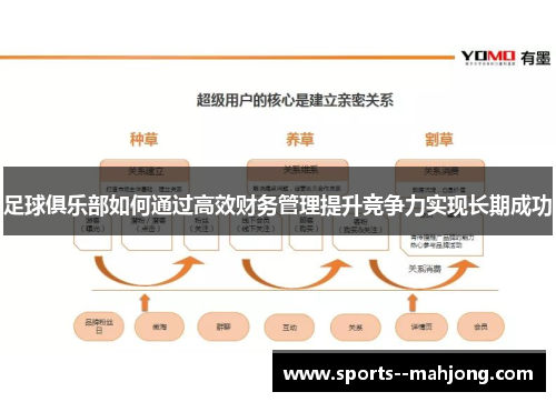 足球俱乐部如何通过高效财务管理提升竞争力实现长期成功