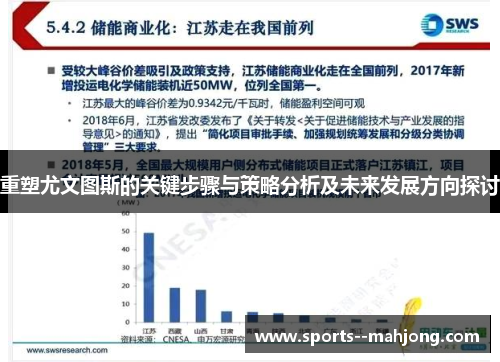 重塑尤文图斯的关键步骤与策略分析及未来发展方向探讨 重塑尤文图斯的关键步骤与策略分析及未来发展方向探讨